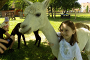 DSCN0346