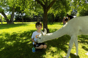 DSCN0347