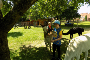 DSCN0366