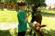 DSCN0392