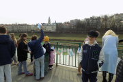 DSCN0878