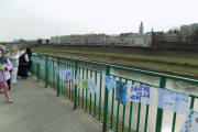 DSCN0881