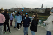 DSCN0884