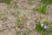 DSCN0912