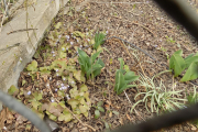 DSCN0916