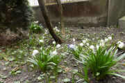 DSCN0921