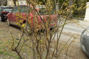 DSCN0922