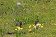 DSCN0924
