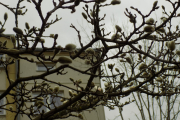 DSCN0926