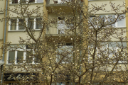 DSCN0929