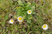 DSCN0936
