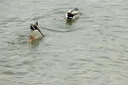 DSCN0938