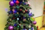 DSCN1117
