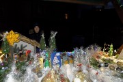 DSCN3869