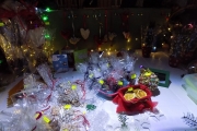 DSCN0970
