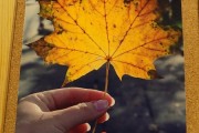 DSCN3405