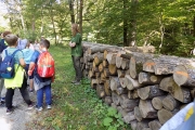 DSCN5548