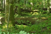 DSCN5573