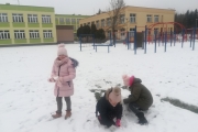 IMG_20190130_131807_resized_20190218_025358021